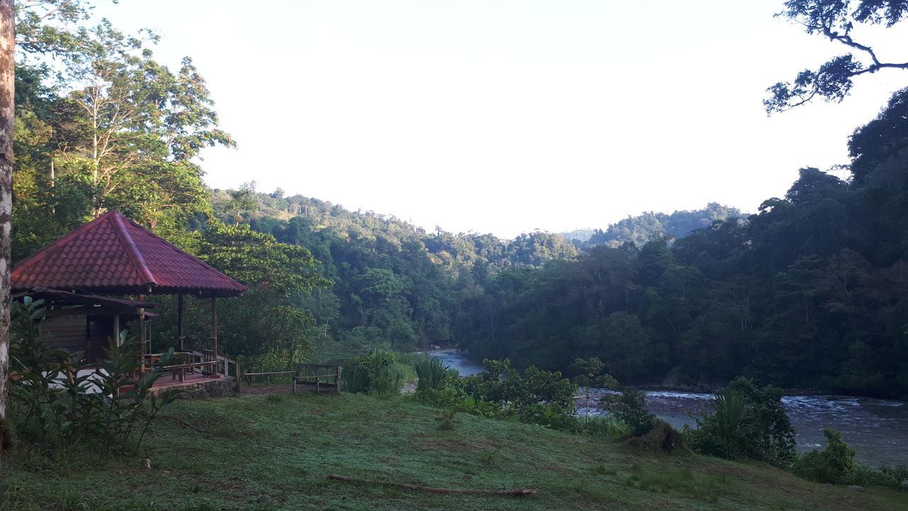 Finca Tres Equis - Farm And Forest Extérieur photo